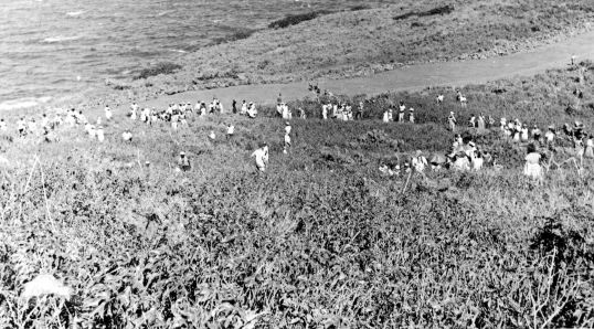 People awaiting historic landing on improvised landing strip Feb. 9th, 1959